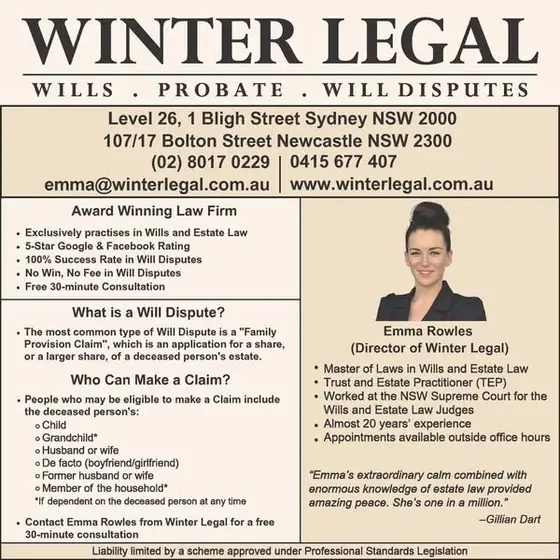 Winter Legal Meta ad for a litigation or dispute service, saved from the Ad Library